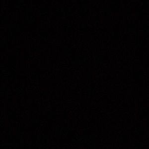 Meet your Posher, Shirley